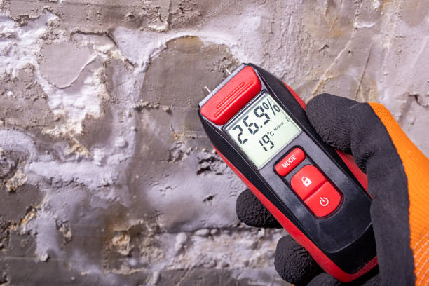 Best Mold Testing and Inspection Services in South Lake Tahoe, CA