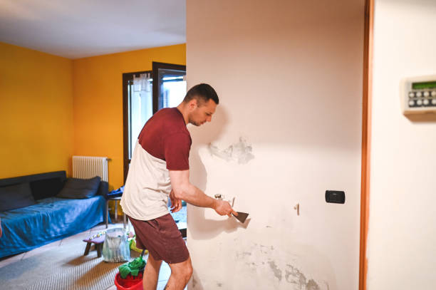 Best White Mold Remediation in South Lake Tahoe, CA